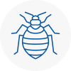 Bed Bug Extermination In Audenshaw